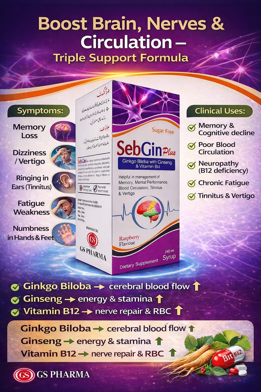 Sebgin Plus Syrup triple support formula — brain, nerves & circulation